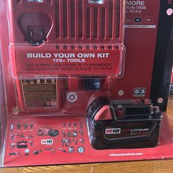 Milwaukee M18 battery and charger