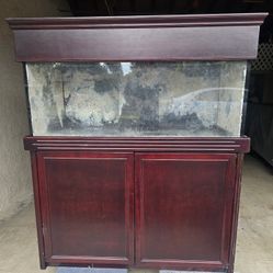 100 Gallon Starfire Glass Fish Tank Stand/canopy