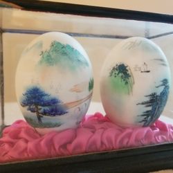 Painted Eggs In Case