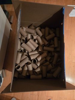 300 Toilet paper rolls for craft