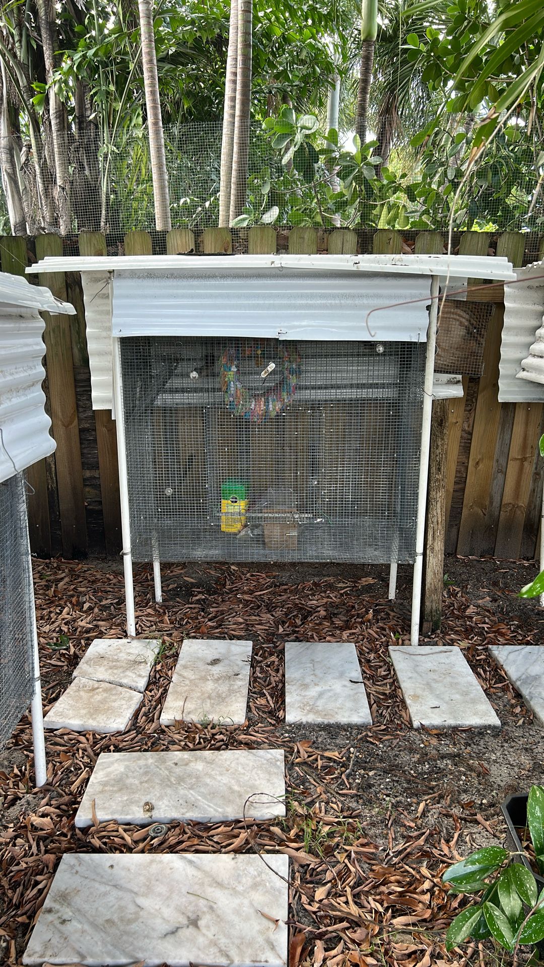 Bird Cages 