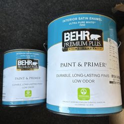 BEHR BRAND PRIMER AND PAINT (PINK) 
