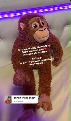 Punch monkey plush !