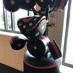 Box Master & Platform