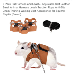 Pet rat harness