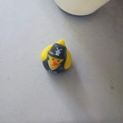 Tiny duck