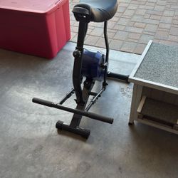 Rodeo Exerciser 