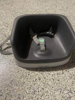 Ingenuity Booster Seat