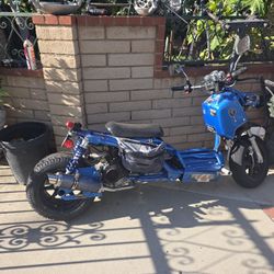 Honda Ruckus 50cc 