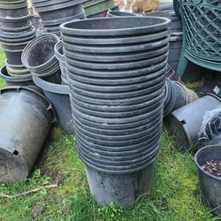 Nursery Pots . 2,3,4, Gallons  $1.00 Each