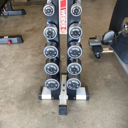 Weider  Chrome Dumbbell Set with Rack