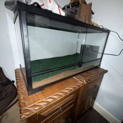 Complete 40-Gallon Reptile Setup – Thermostat, Heat, Lights, Mister – $250 OBO
