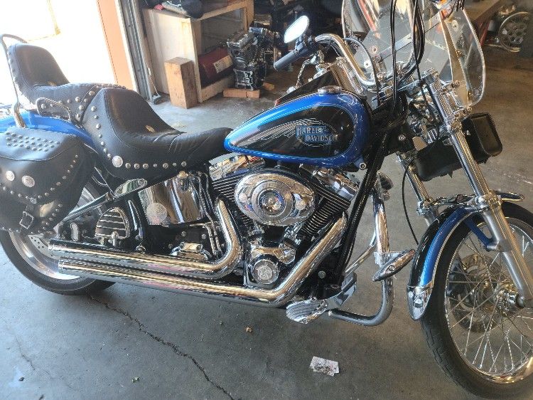 2008 Custom Soft tail FXSTC Harley Davidson