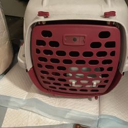 Small Plastic Pet Carrier Small Extra Small 