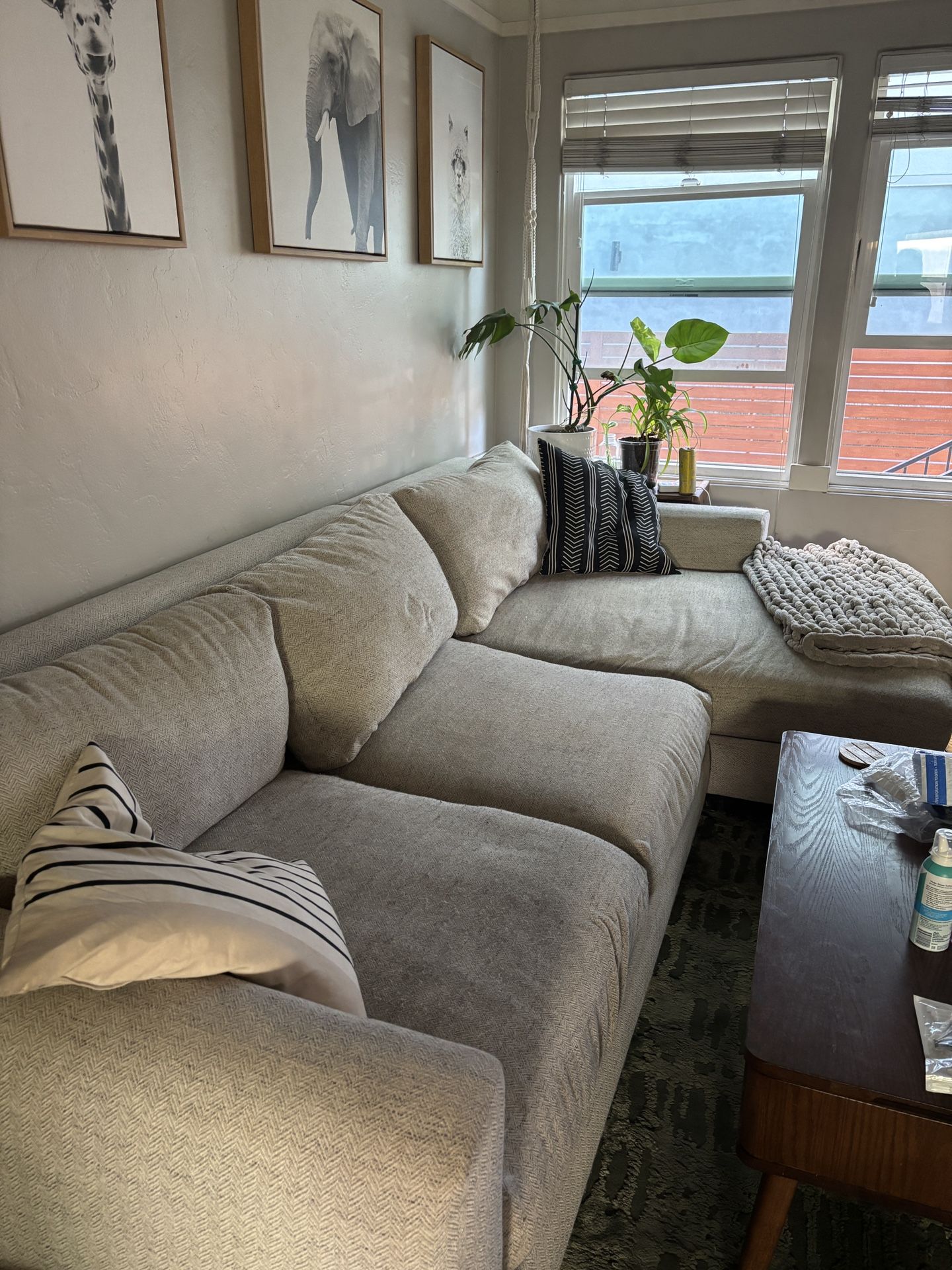 2 Year Old couch For Free!