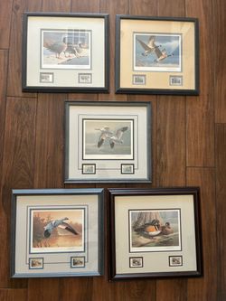 Daniel Smith Signed & Numbered Duck Stamp Art – 5 Framed Prints