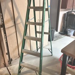6 Ft Louisville Ladder