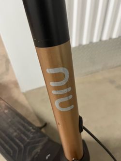 The scooters election