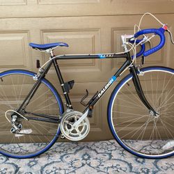 Raleigh Capri