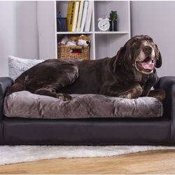 Two Sofa For Dogs