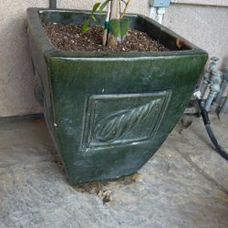Dark Green Plant Pot - Ceramic