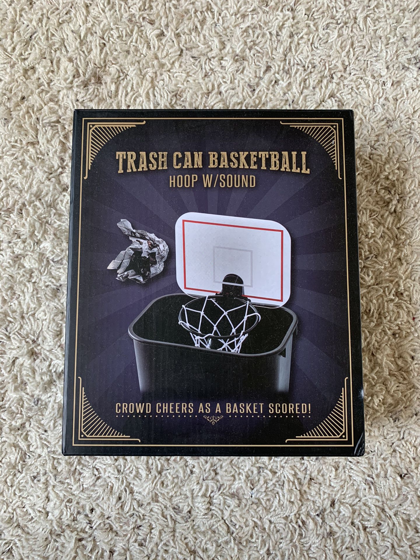 Basketball Trash can hoop