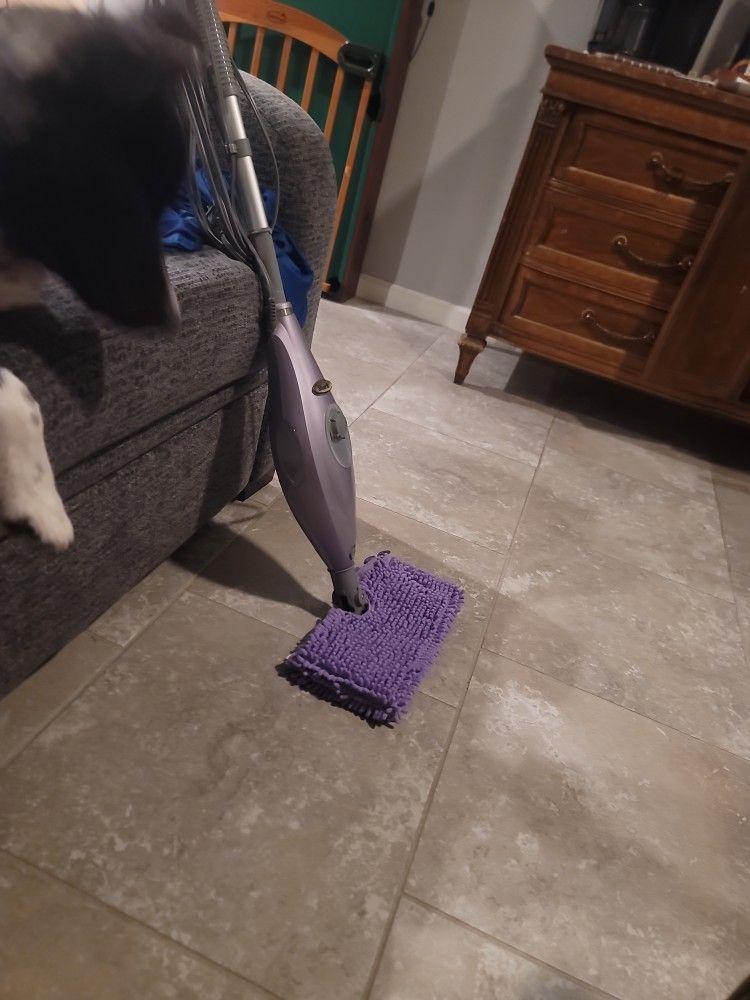 Steamer Mopper