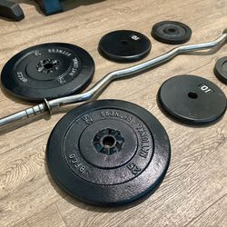 Standard Curl Bar With Pairs Of 25s, 10s And 5s. (Total: 94 lbs)