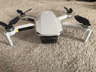 Mavic mini