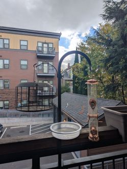 Bird feeder station for patio