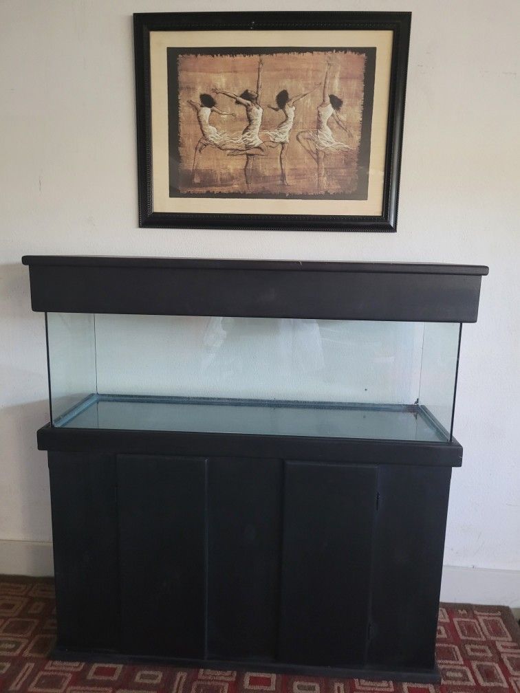 FiSH Tank With Custom Canopy, Stand, And Light