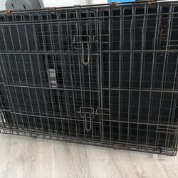 Dog Cage