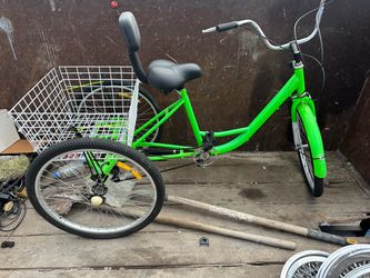 Adult Tricycle with Rear Basket