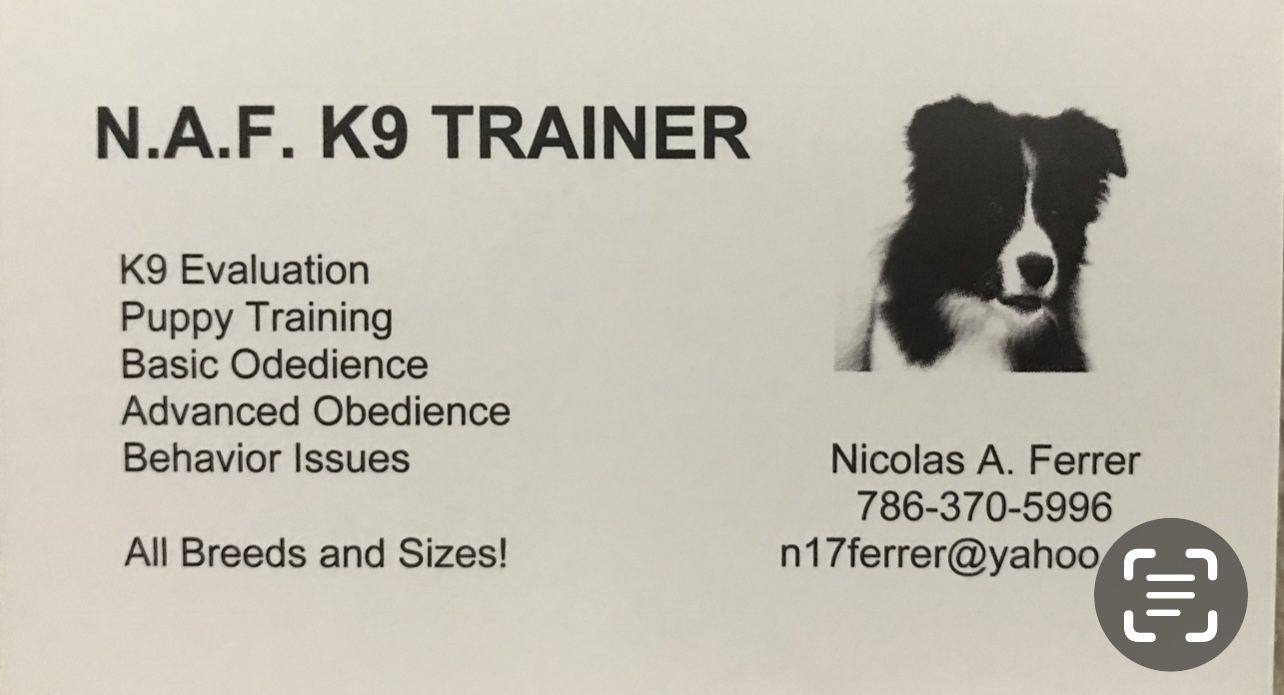 Dod Training K9 