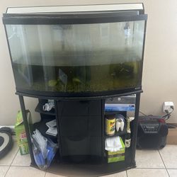 Big Fish Tank For Free