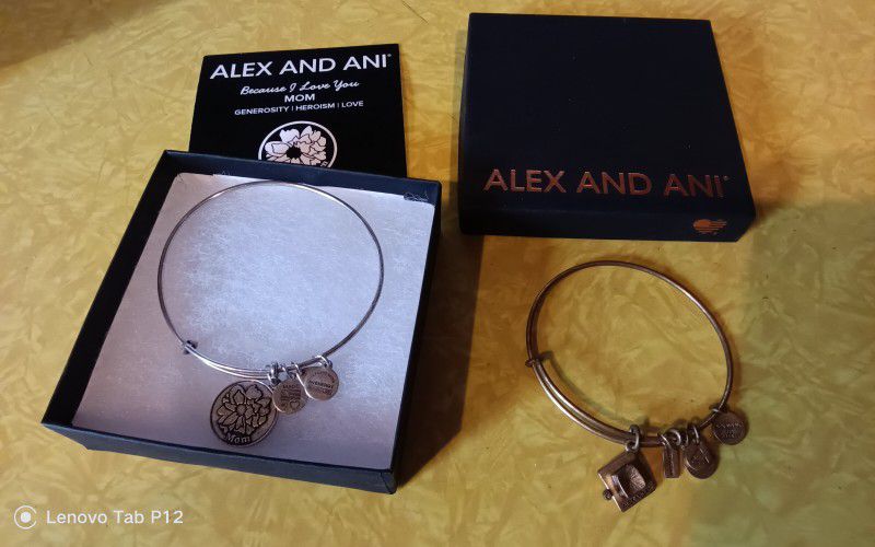Set Of 2 Alexis And Ani Bracelets Located In Blasdell 