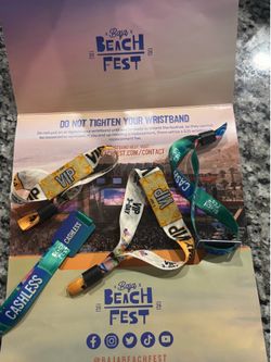 Baja beach fest VIP
