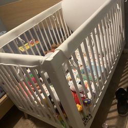 Crib