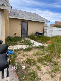 Yard Cleanups Message Me For More Info