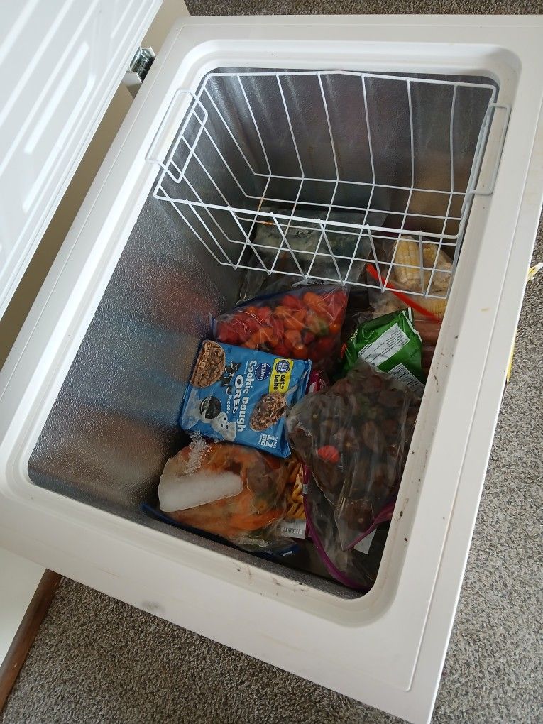 Large Chest Freezer