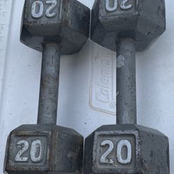 Weighs 20 Lb Pair $35