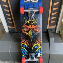 Tony Hawk Skate Board
