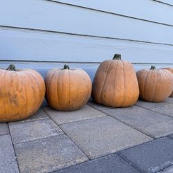 Halloween Pumpkin (4 Pcs)