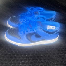 Nike Dunks Low