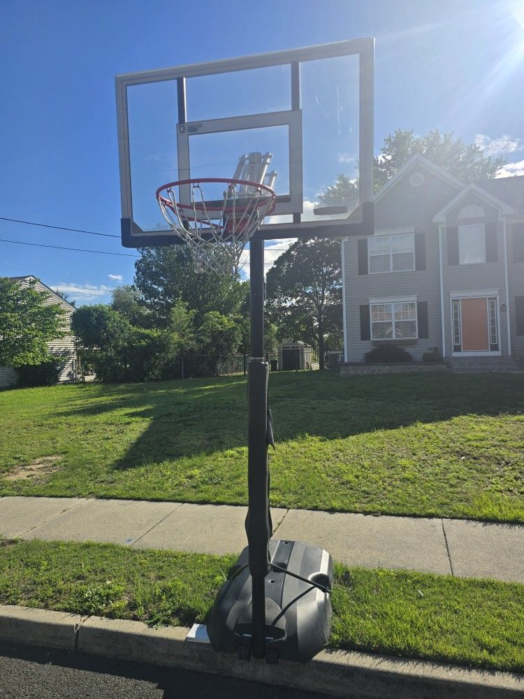 Lifetime Basketball Hoop