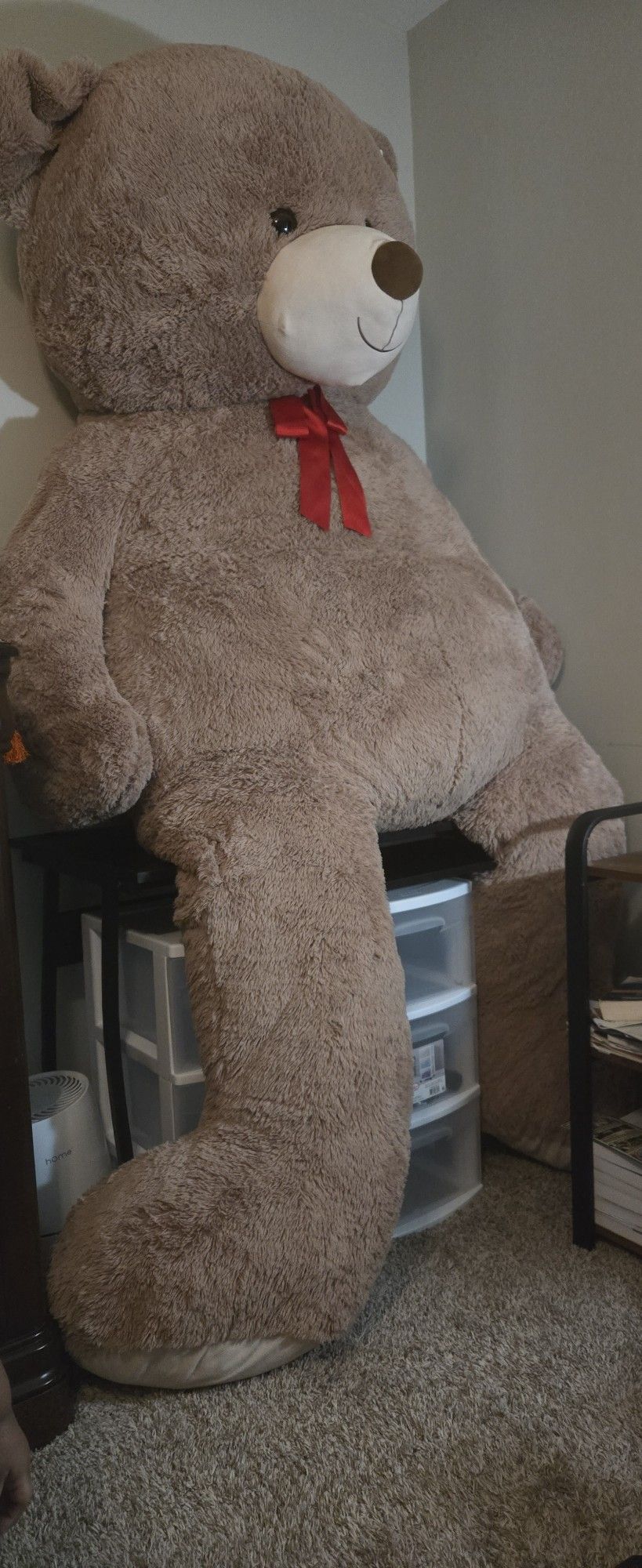Huge Teddy