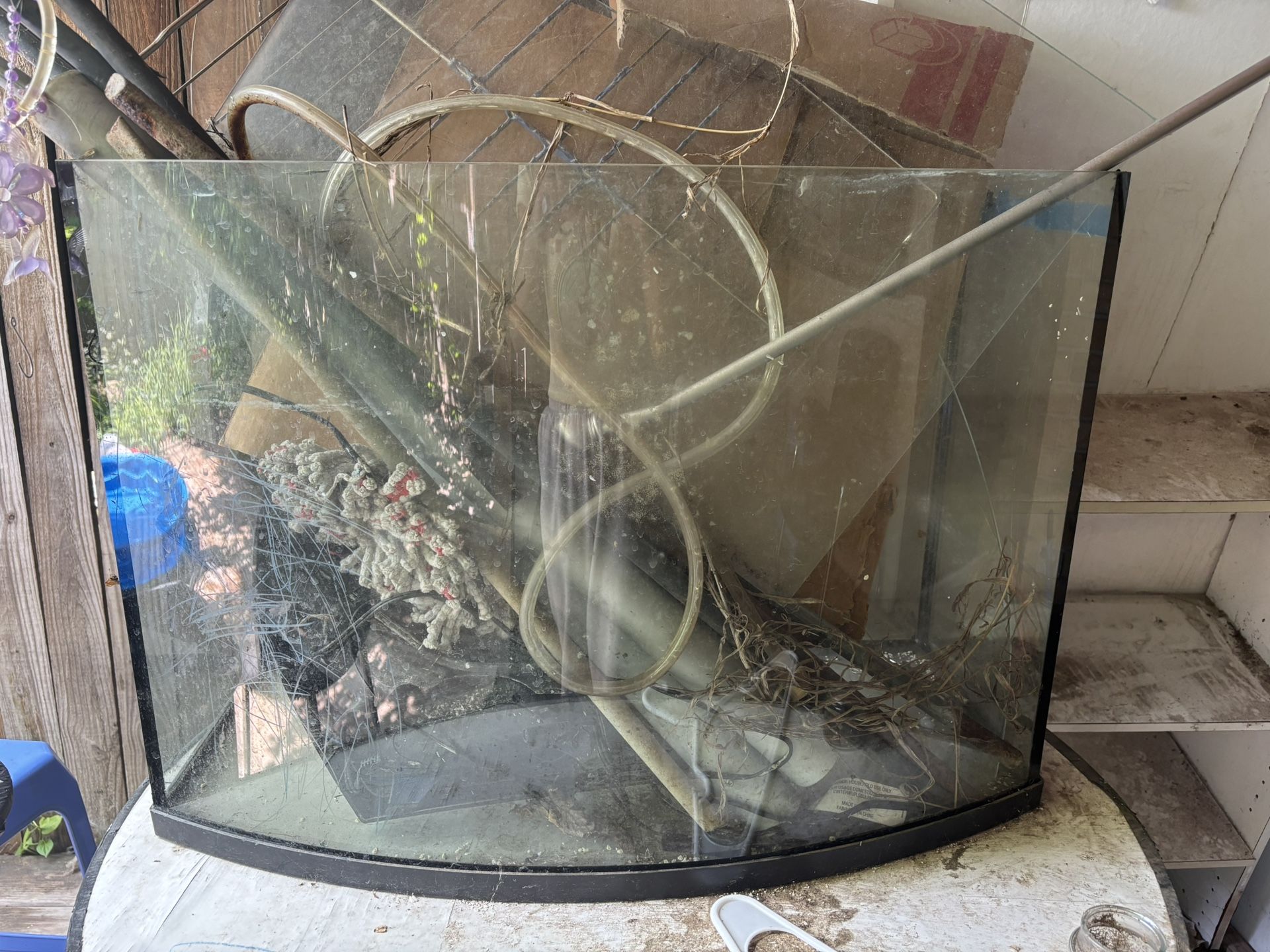 Fish Tank