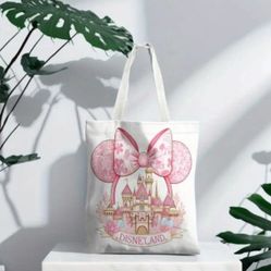 Disneyland Bag