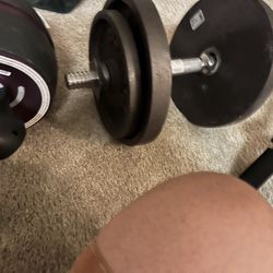 Exercise Equipment 