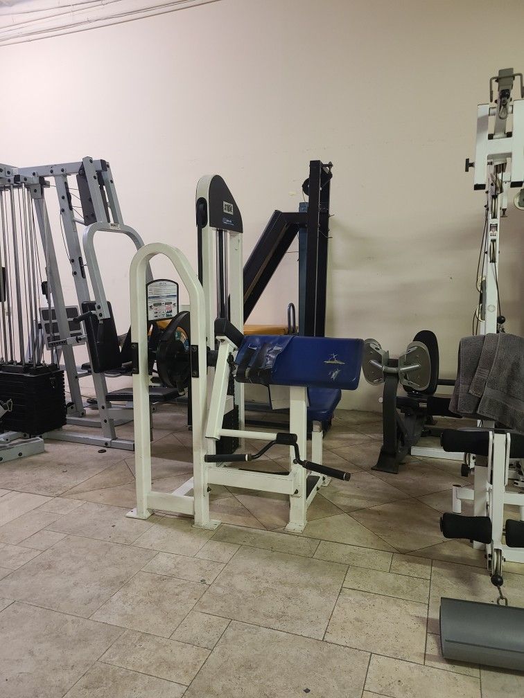 Strive Bicep Arm Curl Weight Stack Machine Gym Equipment for Sale in